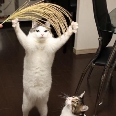 mukapan